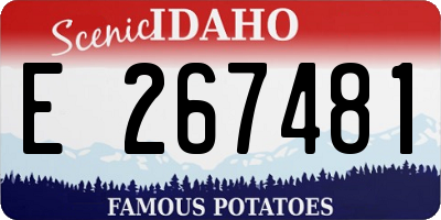 ID license plate E267481