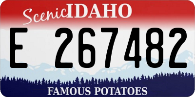 ID license plate E267482