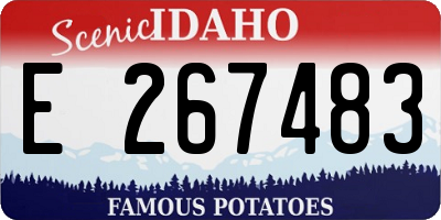 ID license plate E267483
