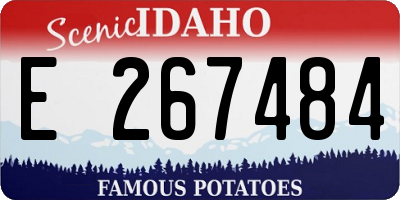 ID license plate E267484