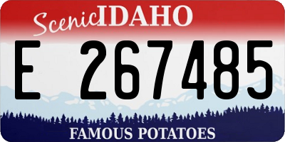 ID license plate E267485