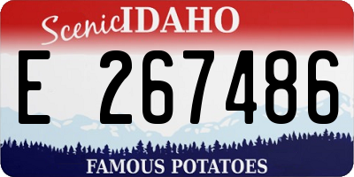 ID license plate E267486