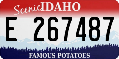ID license plate E267487