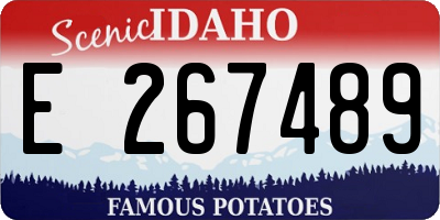 ID license plate E267489