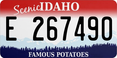 ID license plate E267490
