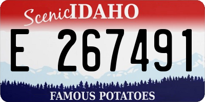 ID license plate E267491