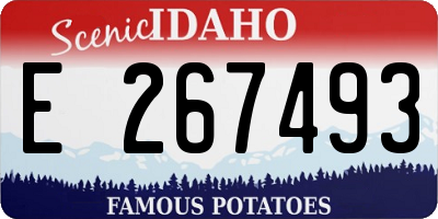 ID license plate E267493