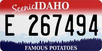 ID license plate E267494