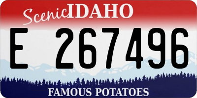 ID license plate E267496