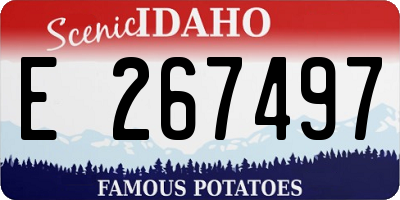 ID license plate E267497