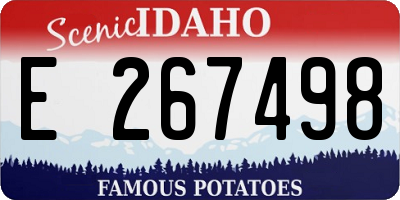 ID license plate E267498