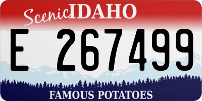 ID license plate E267499