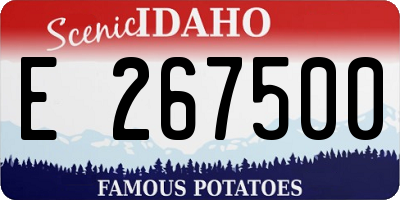 ID license plate E267500