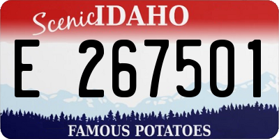 ID license plate E267501