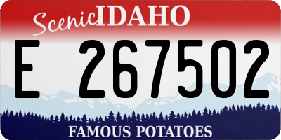 ID license plate E267502
