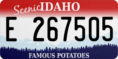 ID license plate E267505