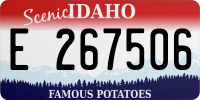 ID license plate E267506