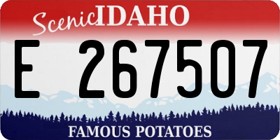 ID license plate E267507