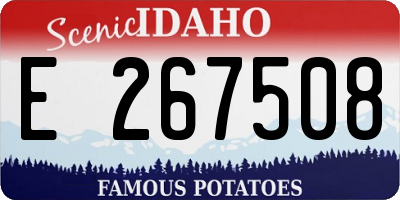 ID license plate E267508
