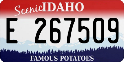 ID license plate E267509