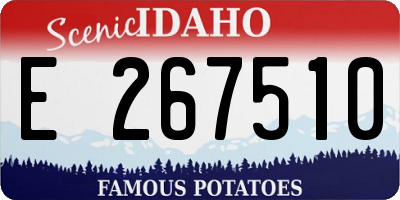 ID license plate E267510