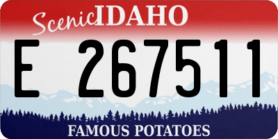 ID license plate E267511
