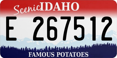 ID license plate E267512