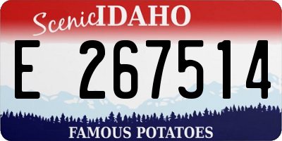 ID license plate E267514