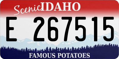 ID license plate E267515