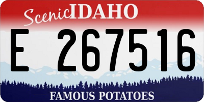 ID license plate E267516