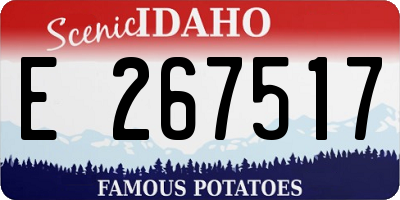 ID license plate E267517