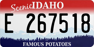 ID license plate E267518