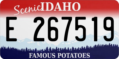ID license plate E267519