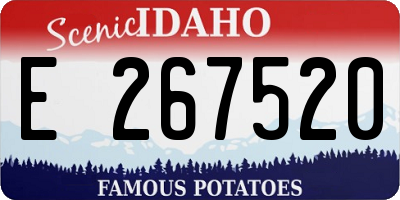 ID license plate E267520