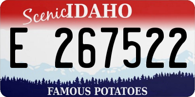 ID license plate E267522