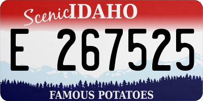 ID license plate E267525