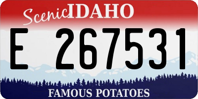 ID license plate E267531