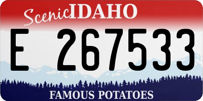 ID license plate E267533