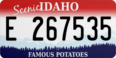 ID license plate E267535