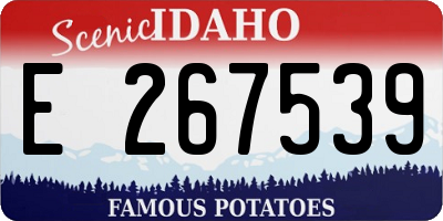 ID license plate E267539