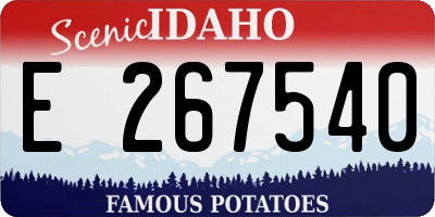 ID license plate E267540