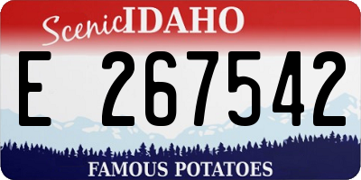 ID license plate E267542