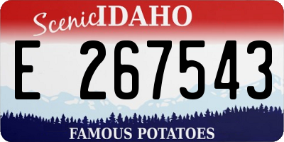 ID license plate E267543