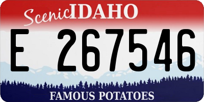 ID license plate E267546