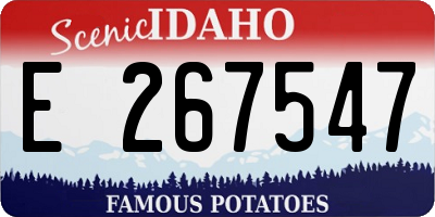 ID license plate E267547