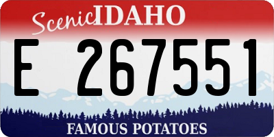 ID license plate E267551