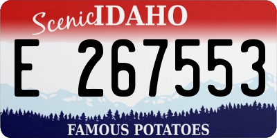 ID license plate E267553