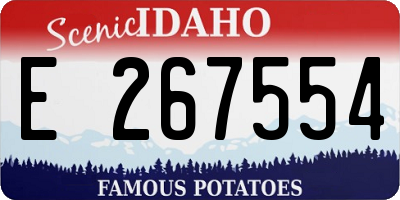 ID license plate E267554