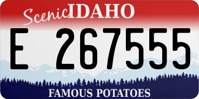 ID license plate E267555