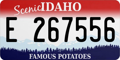 ID license plate E267556